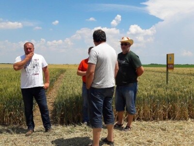 Dan polja strnih žitarica Bc Instituta u Lovasu