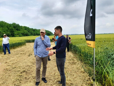 Dan polja strnih žitarica Bc Instituta u Lovasu