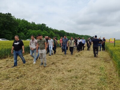 Dan polja strnih žitarica Bc Instituta u Lovasu