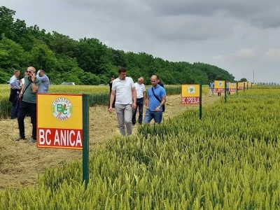 Dan polja strnih žitarica Bc Instituta u Lovasu