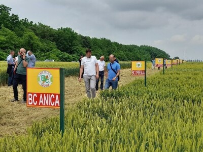 Dan polja strnih žitarica Bc Instituta u Lovasu
