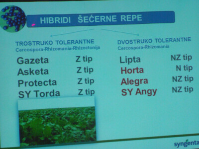 Syngenta Dan polja uljane repice i šećerne repe