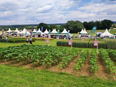 Dan polja u Austriji - RWA Feldtag