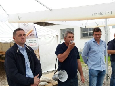 Dan polja uljane repice