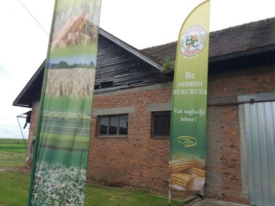 Dan polja uljane repice