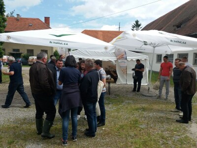 Dan polja uljane repice