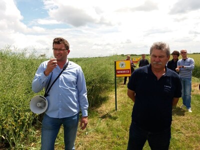 Dan polja uljane repice