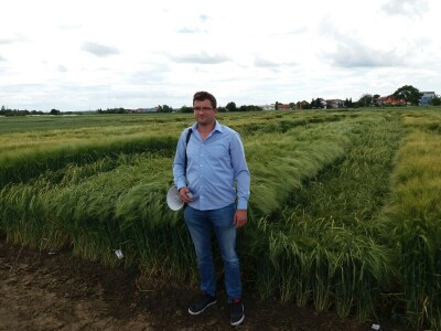 Dan polja uljane repice