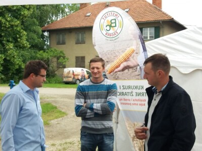 Dan polja uljane repice