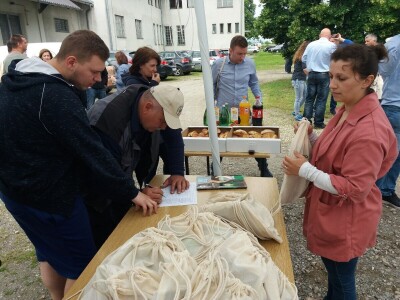 Dan polja uljane repice