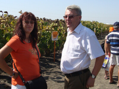 Dan polja suncokreta IPK Tvornice ulja Čepin