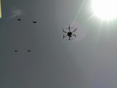 Dan precizne pojoprivrede na FAZOS-u