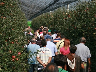 Okupljeni voćari na terenu