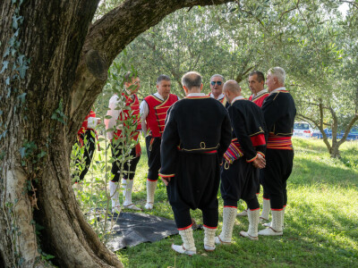 Dani berbe maslina u Hercegovini