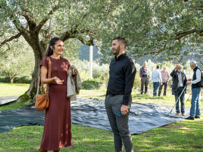 Dani berbe maslina u Hercegovini