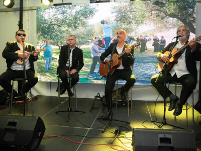 Dani berbe maslina u Hercegovini