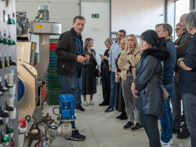 Dani berbe maslina u Hercegovini