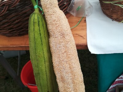 Dani dobravskog ljuka i ekološke proizvodnje