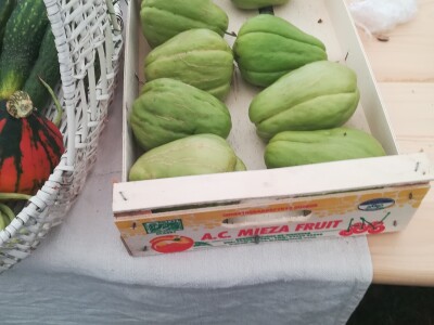 Dani dobravskog ljuka i ekološke proizvodnje