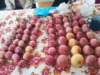 Dani dobravskog ljuka i ekološke proizvodnje