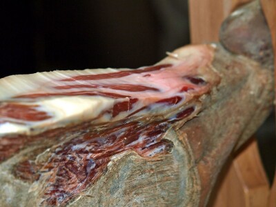 Dani hrvatskog pršuta Dani hrvatskog pršuta