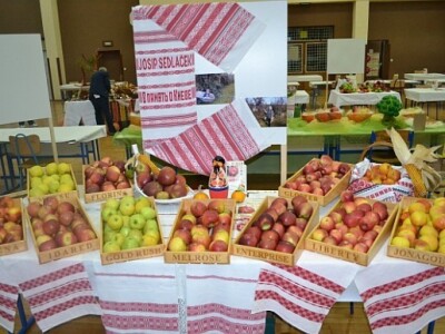 Razne vrste jabuke Razne vrste jabuke