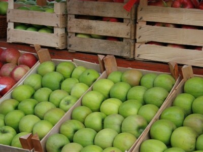 Dani jabuka, Požega 2009