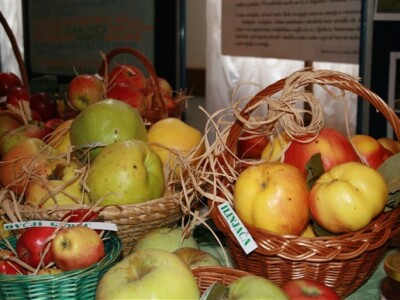 Dani jabuka, Požega 2009