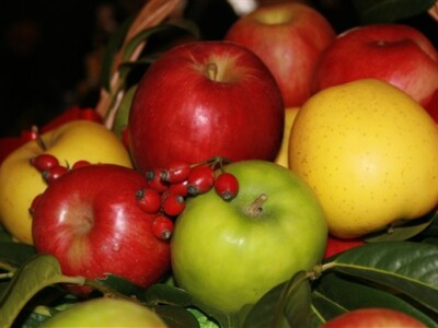 Dani jabuka, Požega 2009