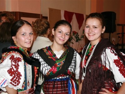 Dani jabuka, Požega 2009