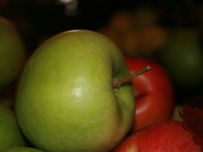 Dani jabuka, Požega 2009