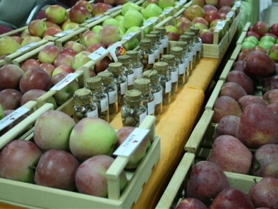 Mnoštvo različitih sorti