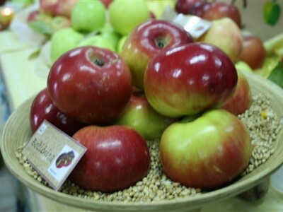 Dani jabuka - Požega 2011