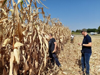 Dani kukuruza Bc Instituta
