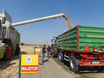 Dani kukuruza Bc Instituta