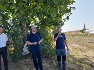 Dani kukuruza Bc Instituta