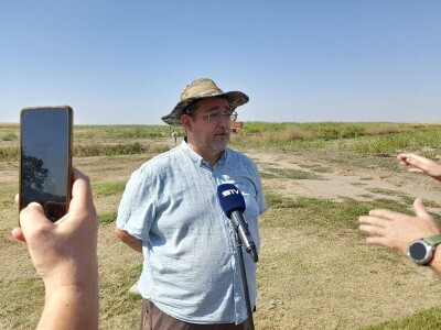 Dani kukuruza Bc Instituta