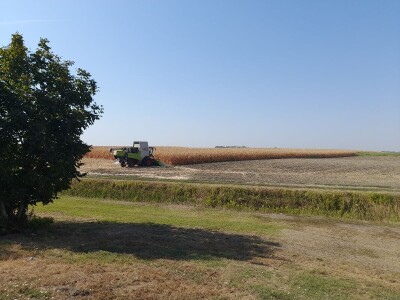 Dani kukuruza Bc Instituta