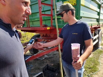 Dani kukuruza Bc Instituta