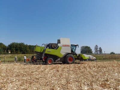 Dani kukuruza Bc Instituta