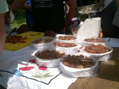 Dani kulina u Jagodnjaku