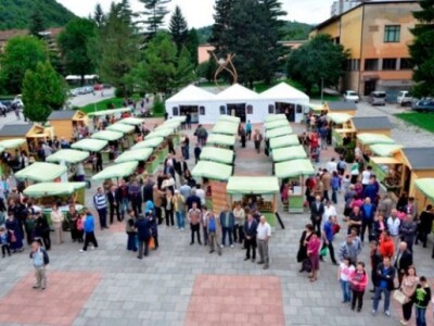 Dani maline 2014., Novi Travnik