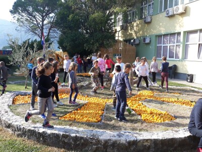 Dani mandarina Dani mandarina