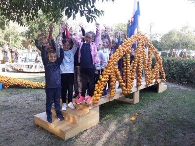 Dani mandarina Dani mandarina