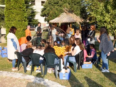 Dani mandarina Dani mandarina