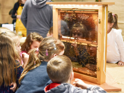 Dani  mednih delicija središnje Istre