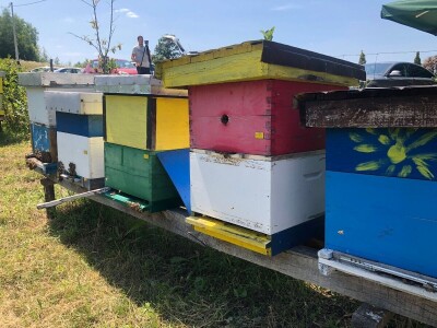 Dani organske  proizvodnje