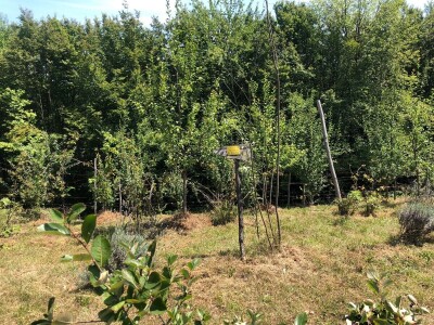 Dani organske  proizvodnje