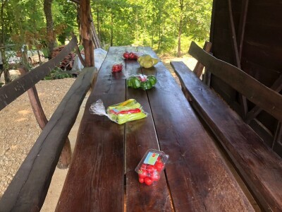 Dani organske  proizvodnje