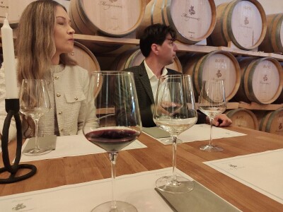 "Dani otvorenih podruma" u Čitluku i Čapljini